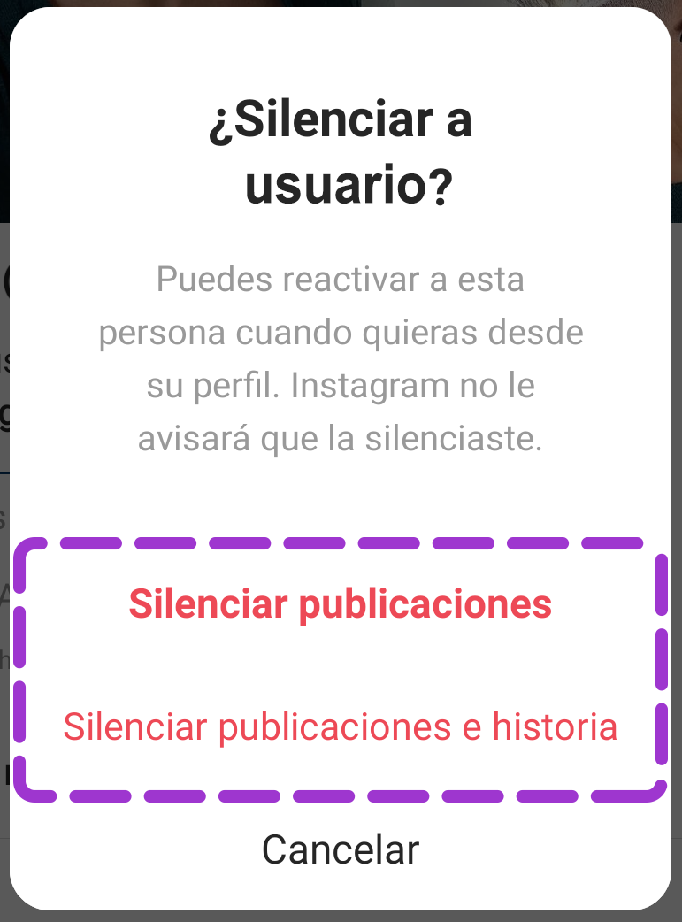 opciones silenciar publicacion en instagram desde feed